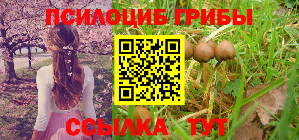 Похвистнево  Галлюциногенные грибы Psilocybine cubensis  Галлюциногенные грибы мухоморы  Вход с VPN 